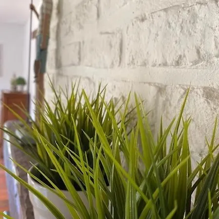 't Zeehuysje Tatil Evi *