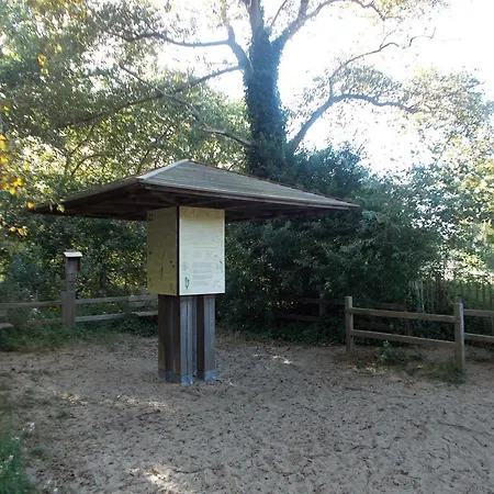 't Zeehuysje Holiday home